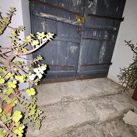 μακρυνάρι *